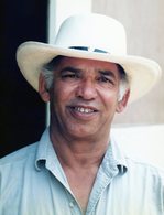 Pedro Tolentino